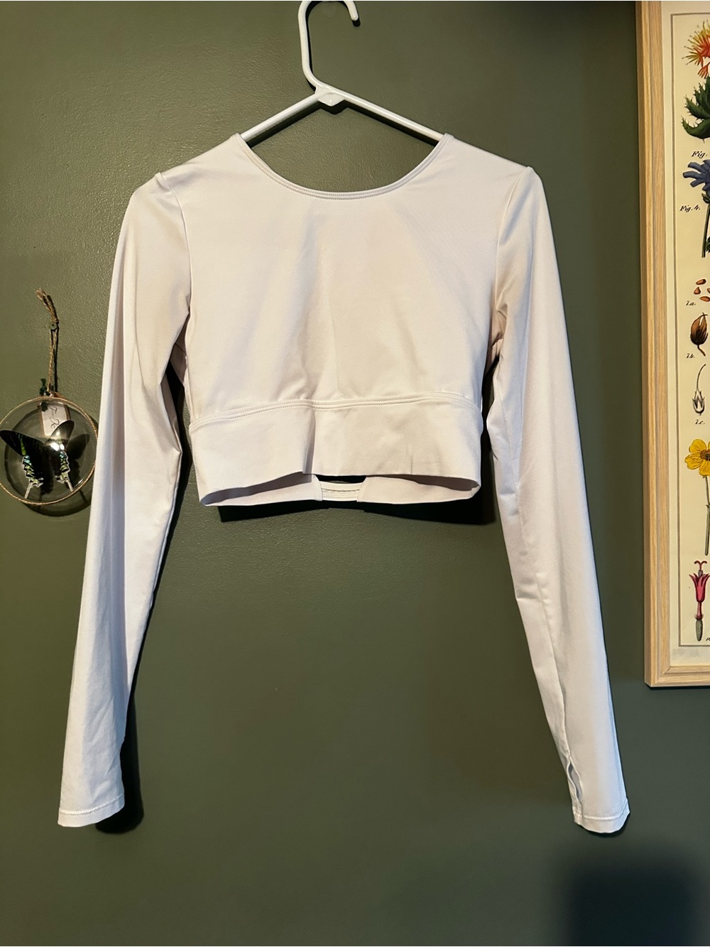 ⭐️ Women's Long Sleeve Cropped Top - white